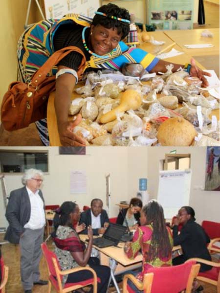 Seeds without borders: Using and sharing plant genetic diversity to adapt to climate change in Africa
