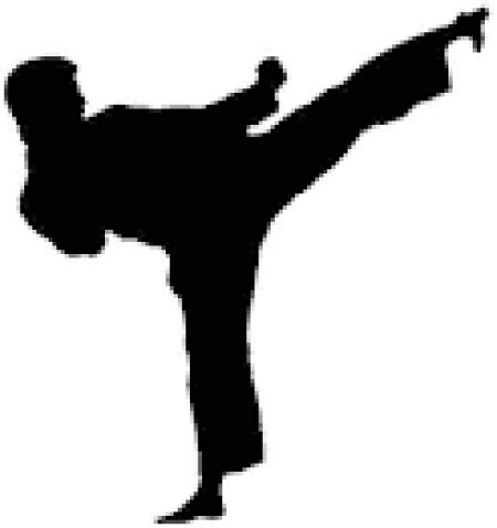 Gambia celebrates Karate Day