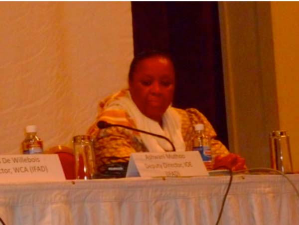 IFAD support to Gambia is indispensable: UN Resident Coordinator