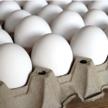 Eggs shortage contributes to high price