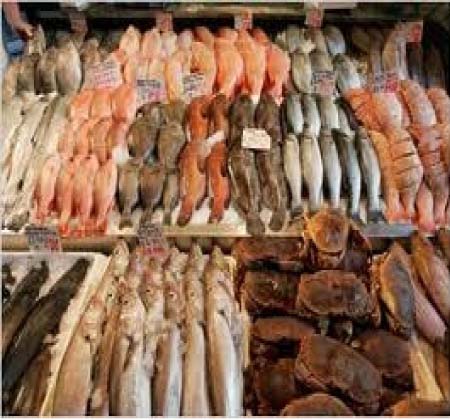 In fisheries officials case - 5 granted bail, 4 remanded