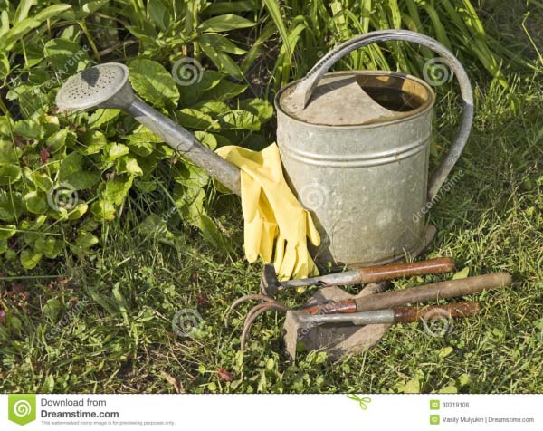 Women horticultural farmers sensitized ahead of creation of marketing federation