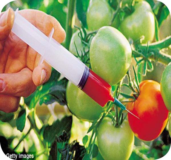 Gambia will never accept GM food, says Jammeh