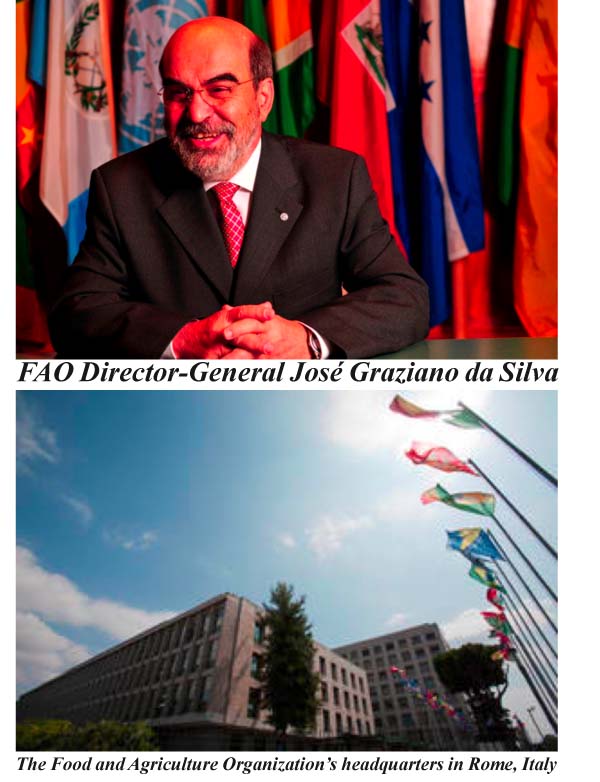 AGRICULTURE & DEVELOPMENT: FAO’s strong leadership instills a result-oriented culture, says new MOPAN report