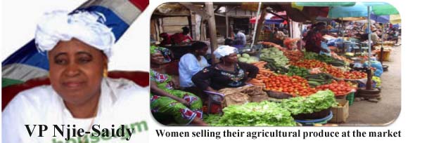 SHE SHE SHE: VP Njie-Saidy: Vision 2016 and 2020 - Gambian women will make it happen’