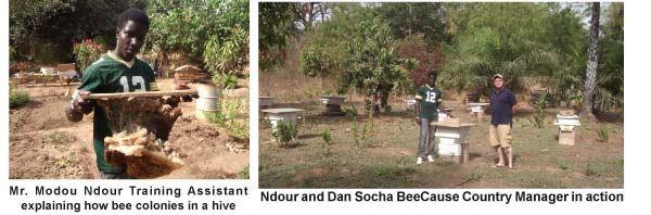 Bee Cause Gambia trains bee farmers on ethical Bee Farming