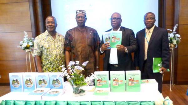 ENVIRONMENT: ‘Policy implementation is key for Africa’s development’ 