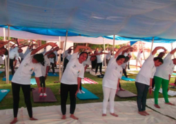 yoga day participants