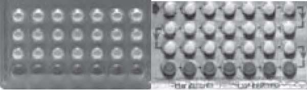 SHE SHE SHE: Introducing Marvelon and Zinnia contraceptives