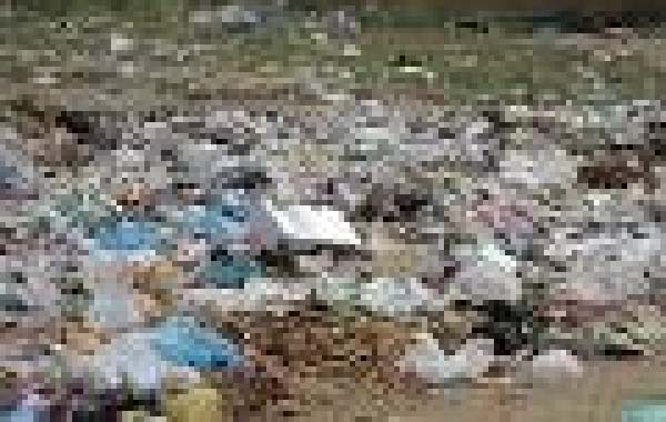 Effects of plastic bags on the environment