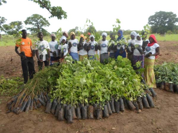 ADWAC embarks on tree planting exercise in Karantaba, Saaba