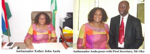 Outgoing Nigerian Ambassador: ‘The journey has been a successful one’