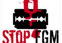 stop fgm 1