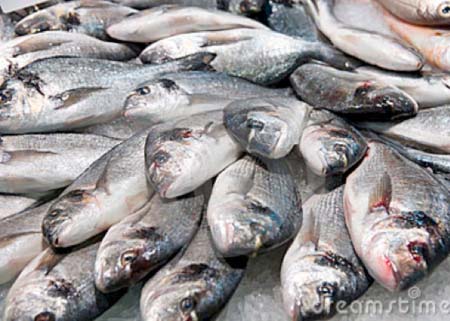 FAO capacitises fisheries stakeholders on storage and packaging
