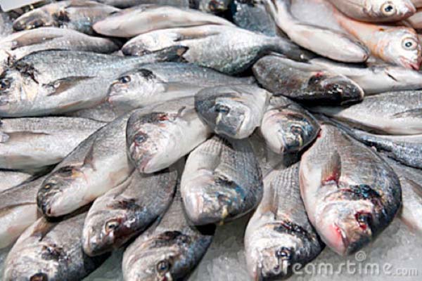 Dep’t of Fisheries trains cooperatives on fish management