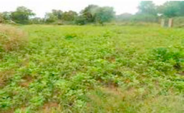 Farmers cry: No one to help us at the farms, not our sons