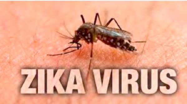 Traditional communicators sensitised on Zika virus