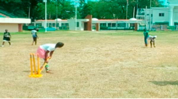 Cricket GPL knockout tournament underway