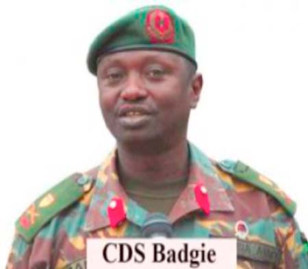 Army chief pledges loyalty to President-elect Barrow