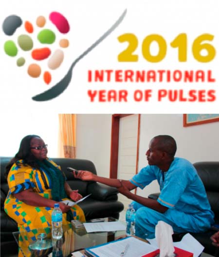 FAO Country Director speaks on Int’l Year of Pulses