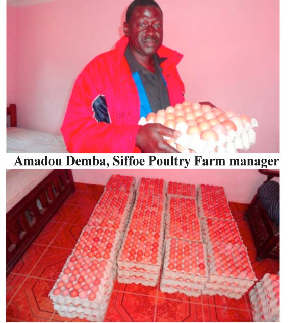 AGRICULTURE & DEVELOPMENT: ‘Poultry production fastest business in attaining food self-sufficiency’