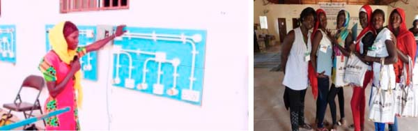 ENVIRONMENT: Mboolo Society a model centre for women on renewable energy 
