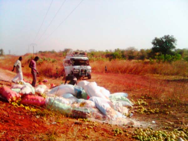 Overloaded Senegalese mini-bus somersaults along Trans-Gambia Road