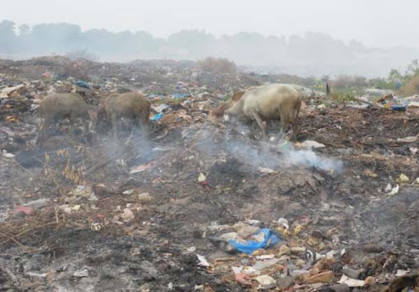Stakeholders validate 2015 disaster report