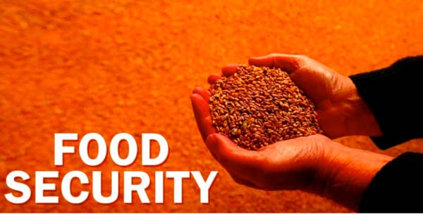 Gambia continues to face food security challenges - official