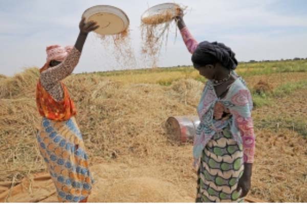 FAO and ECOWAS declare continuous support for women in agriculture