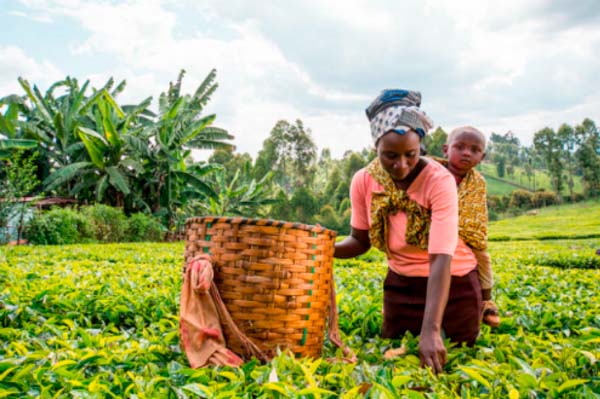 SHE SHE SHE: SDGs #5: Let’s Pledge for Gender Equality