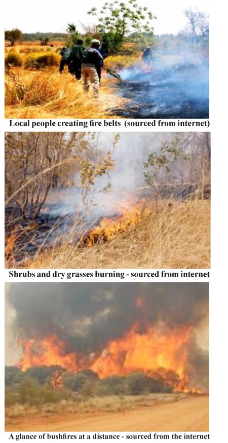 Regional Forestry officer warns CRR people to desist from bushfires