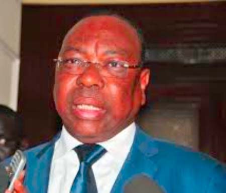 Diplomatic efforts intensify on Gambia-Senegal border closure