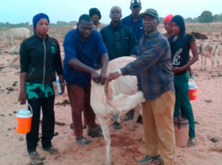48,000 cattle vaccinated against CBPP in NBR