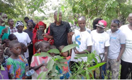 Biodiversity Action Journalists embark on tree planting