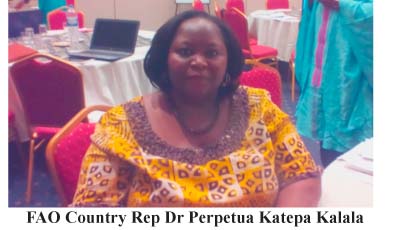 FAO: Gambia Gov’t mainstreams women empowerment in development process