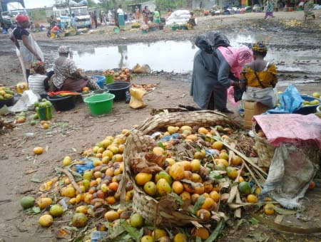 Call for fruit and vegetable factory investors intensifies