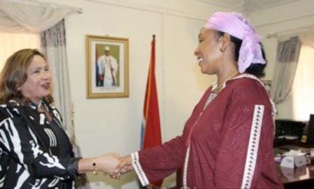 New WFP Representative and Country Director presents credentials