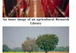 agricultural research