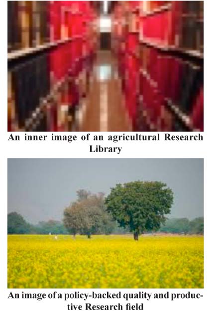 Agricultural research libraries support quality and productive policy research
