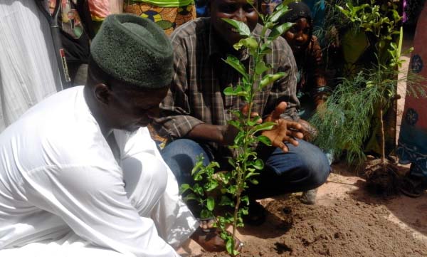 WYCE, others embark on tree planting exercise 