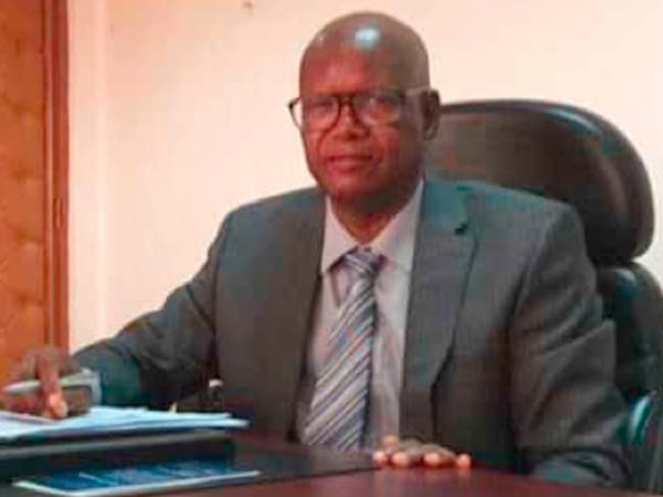 Ex-minister Jawo: Gambia’s opposition must unite or face defeat
