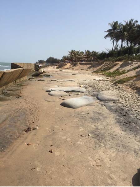 Good morning Honorable Minister responsible for the environment Lamin B. Dibba