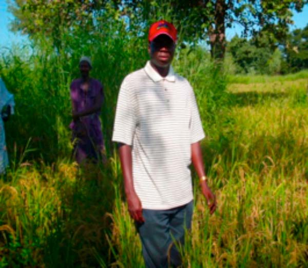 The Imperative for Transformation and Development of Gambia’s Agricultural Sector