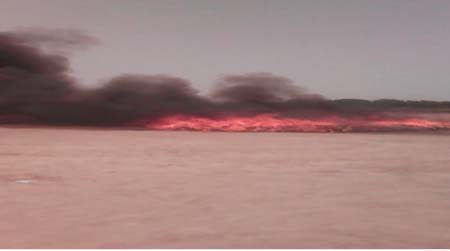 About 2 tonnes of drugs burnt