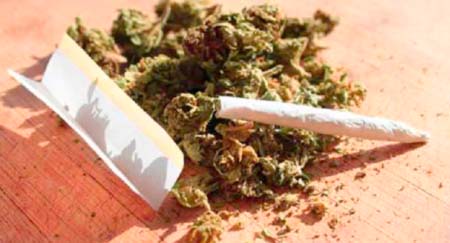 Two Gambians arrested in drug bust in Malta
