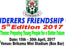 wanderers friendship cup