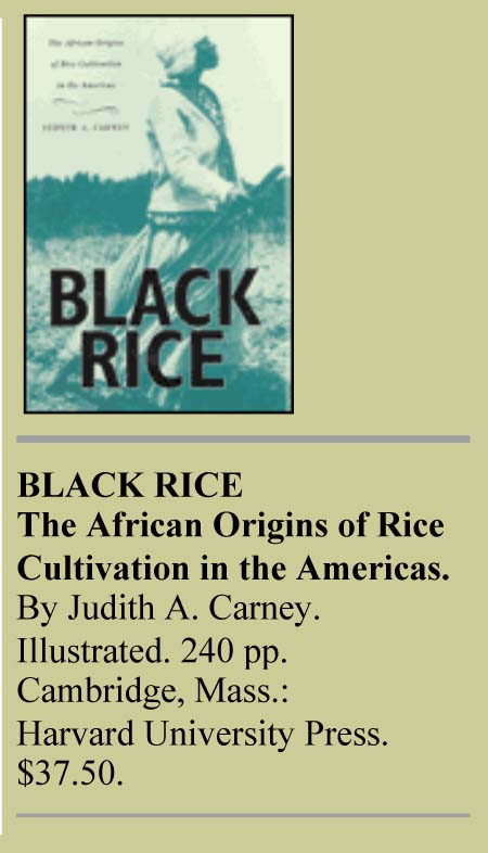 Book Review: Seeds of History  The expertise of African slaves in growing rice played a crucial role in the American South.  DREW GILPIN FAUST