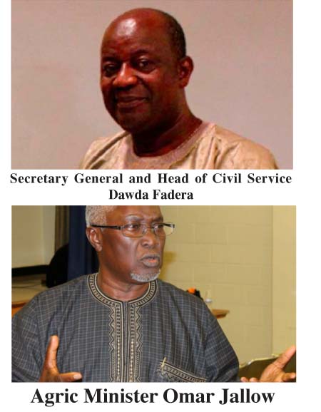 Civil servants immune to dismissal now: minister