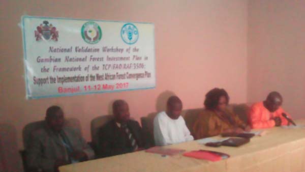 Forest investment plan for West Africa validated